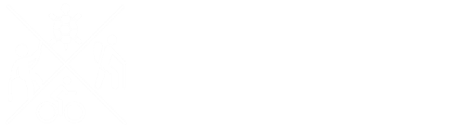 Travelturtles